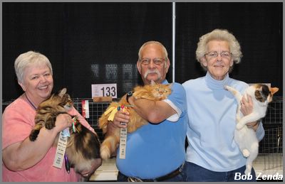 Top 3 HHpets